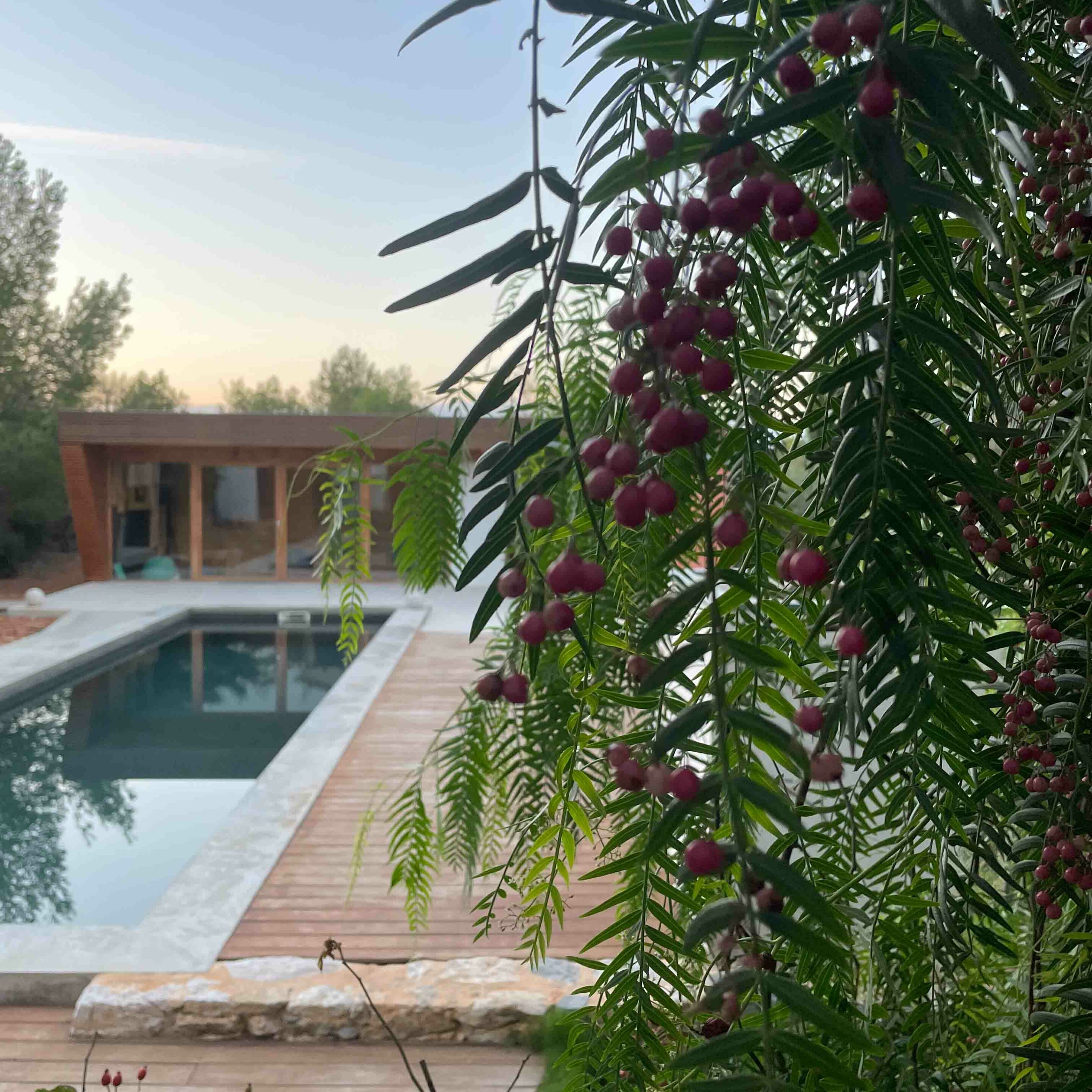 Chambre d'hôte PO - Côté piscine fin de journée - Calme et Tranquilité